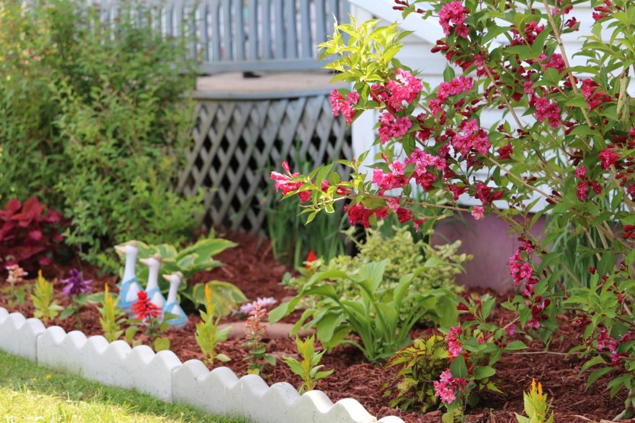 Baker Shore Bed And Breakfast Summerside Buitenkant foto